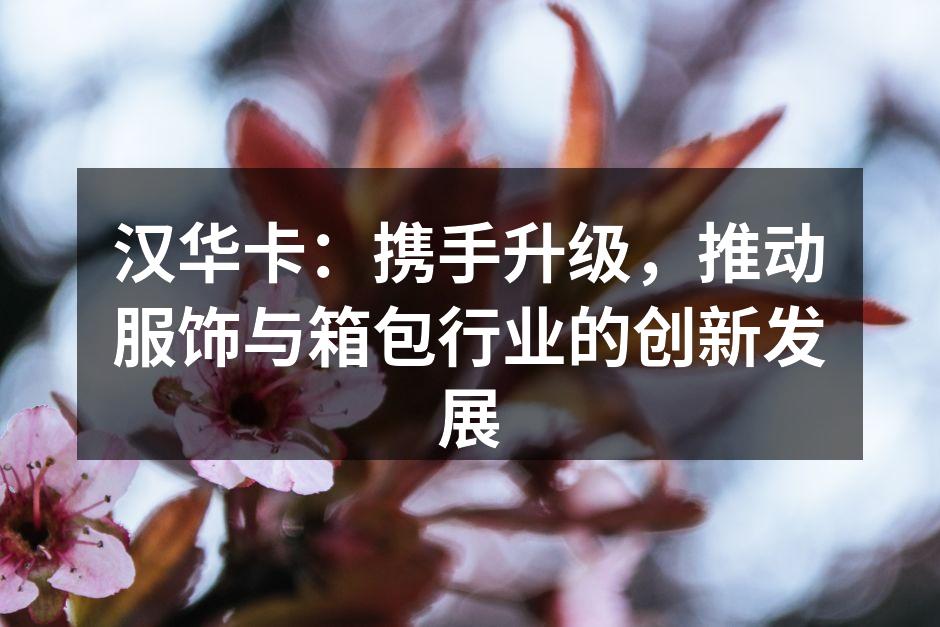 汉华卡：携手升级，推动服饰与箱包行业的创